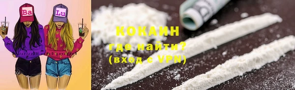 соль ск Арсеньев